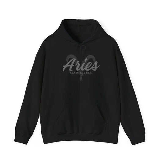 Aries Hoodie